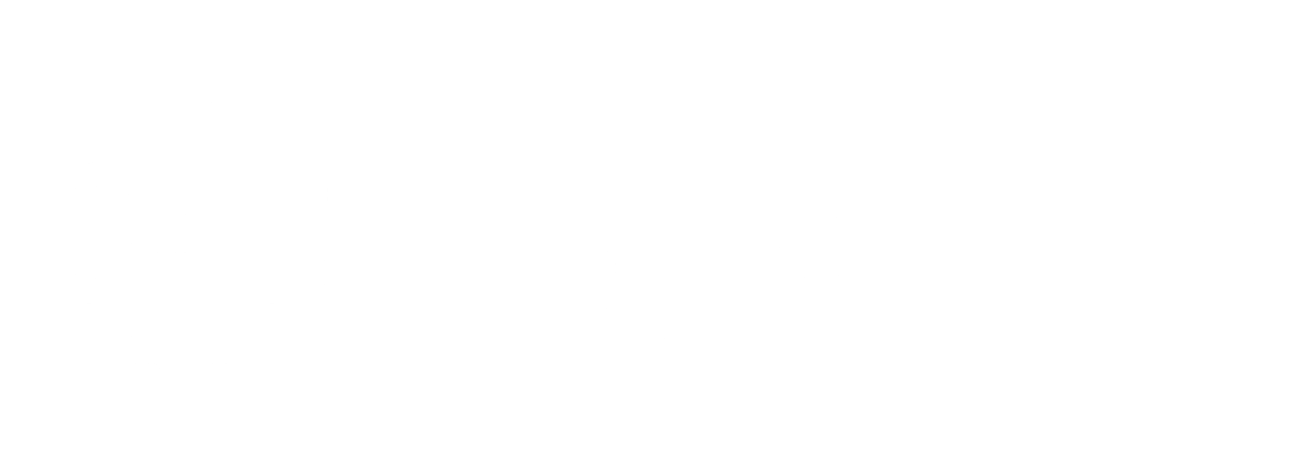 Human Rights Forum Logo Media-kit Gaza-Kieswijzer - The Rights Forum
